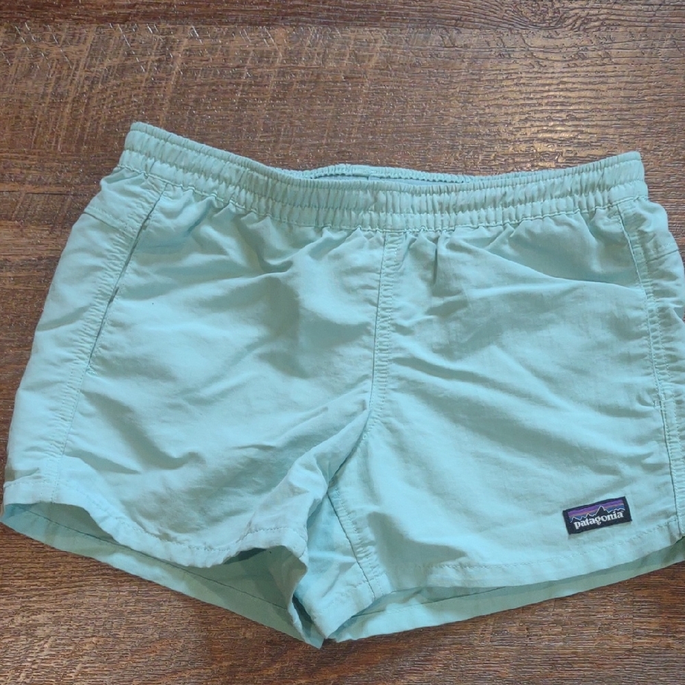Patagonia Large Mint‎ Green Nylon Shorts
